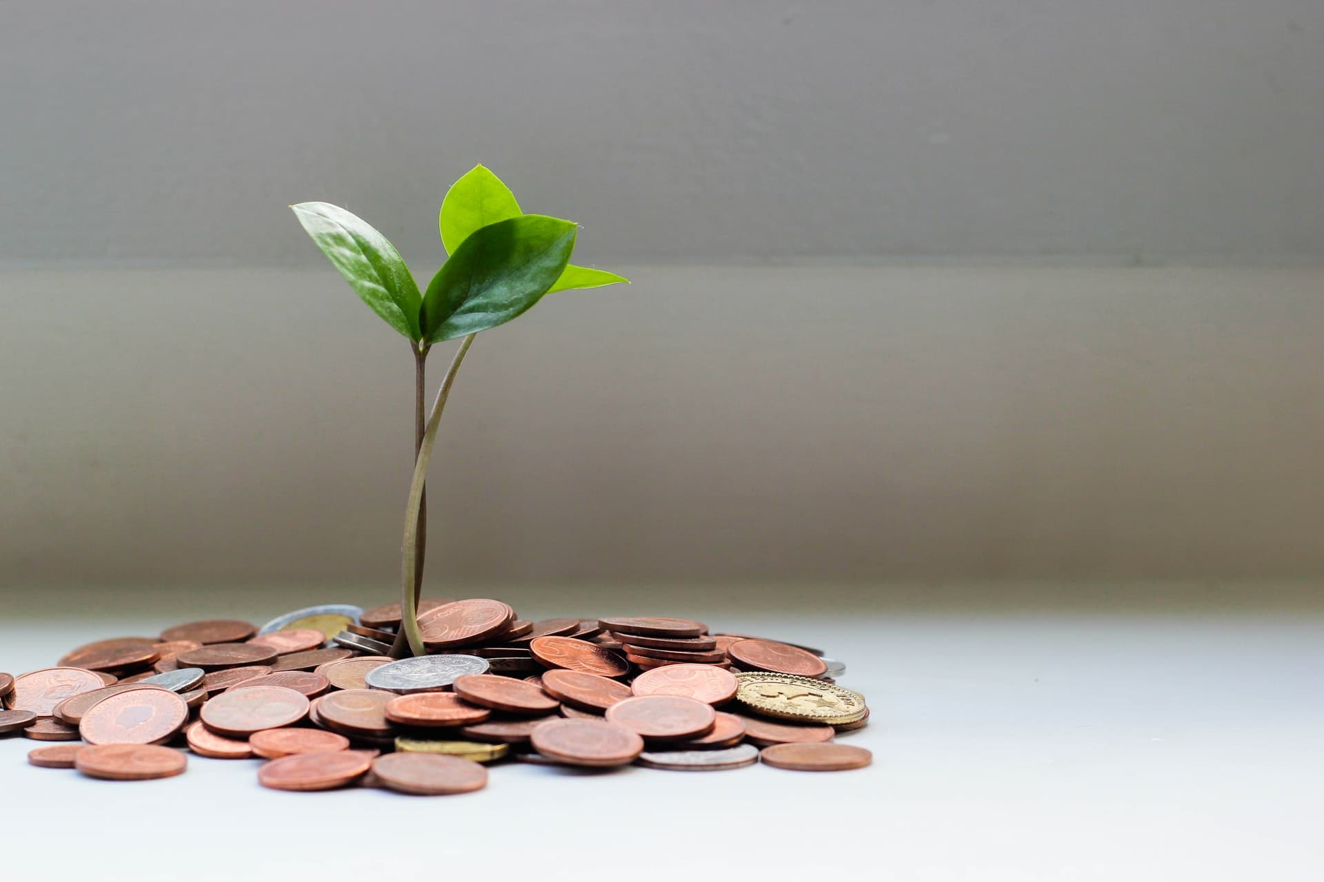 Réussir son investissement locatif