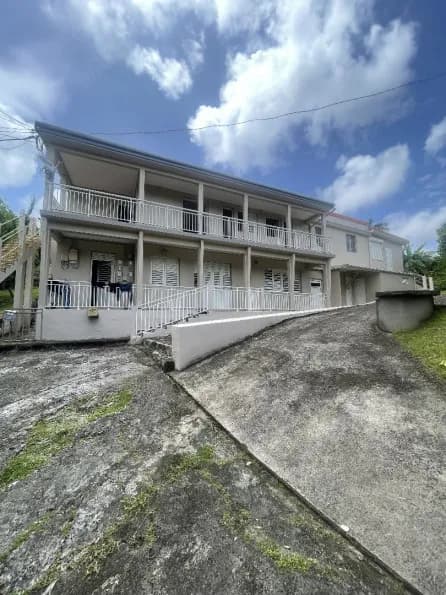 Immeuble de rapport 250 m² - Photo 1