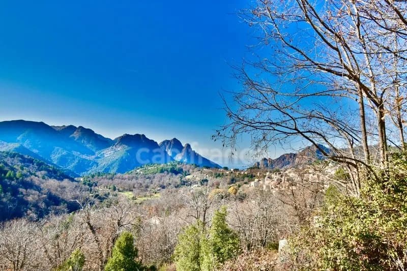 EVISA (CORSE) A VENDRE : Ensemble immobilier touristique : bâtiment gîte-hôtel/restaurant + 6 chalets avec piscine - Photo 1
