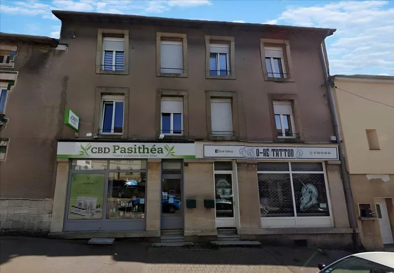 AUDUN-LE-ROMAN : Immeuble de Rapport avec 7 lots/ investisseur - Photo 1
