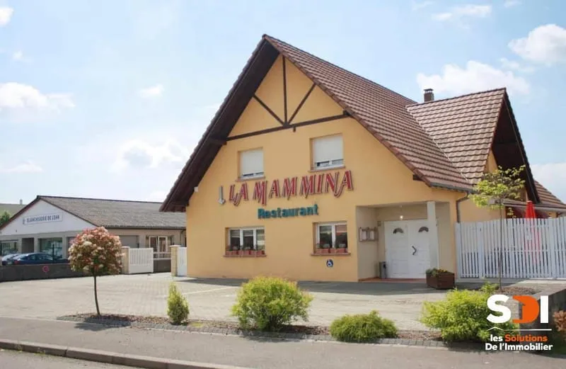 STRASBOURG - IMMEUBLE 393M² MURS COMMERCIAUX + T5/152M² - STRASBOURG - Photo 1