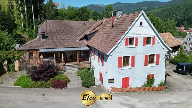 Ensemble immobilier au pied des Vosges - Photo 1