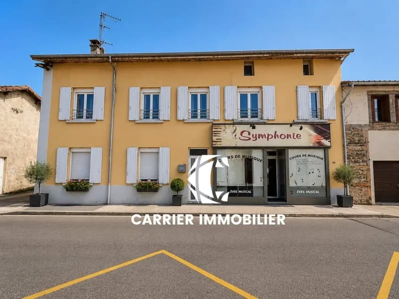 MIRIBEL CENTRE-VILLE ENSEMBLE IMMOBILIER DE 540 M2 - Photo 1