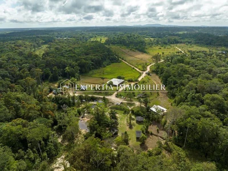 Ensemble immobilier de gîtes touristiques sur Montsinéry-Ton - Photo 1