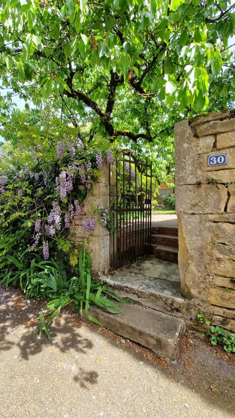 Bel ensemble immobilier au coeur de Santenay - Photo 1