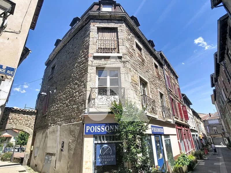 Immeuble Saint Symphorien Sur Coise 4 pièce(s) 225 m² - Photo 1
