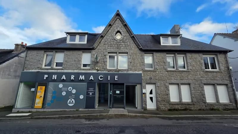 Immeuble 389 m2 avec local commercial, maison, appartement - Photo 1