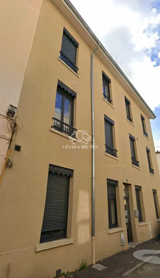 Immeuble - 13 appartements - Entièrement rénovés - Lyon 8 - Photo 1