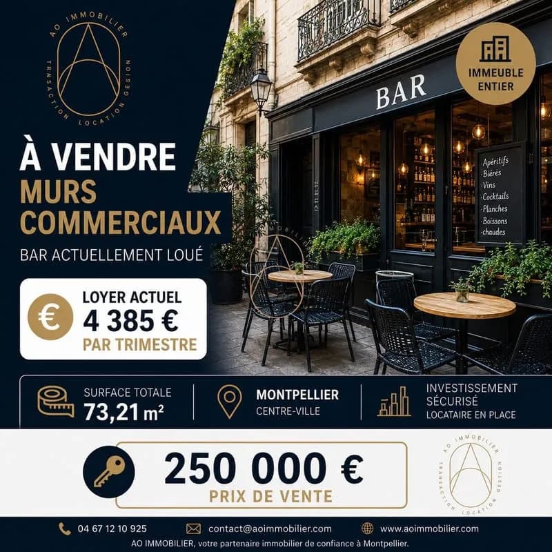 Murs commerciaux - Immeuble entier - Centre historique de Mo - Photo 1