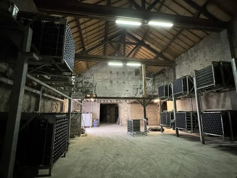 Immeuble à vendre Montlouis-sur-Loire - Photo 1