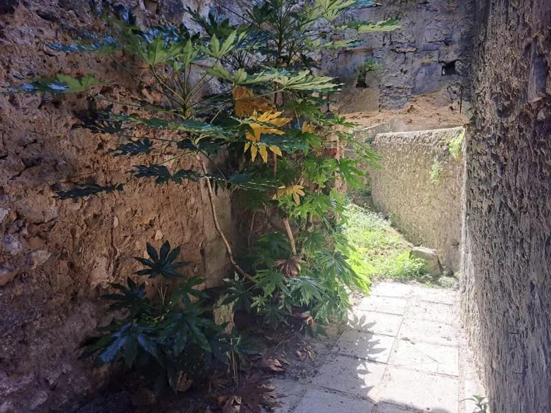 Ensemble immobilier - Photo 1