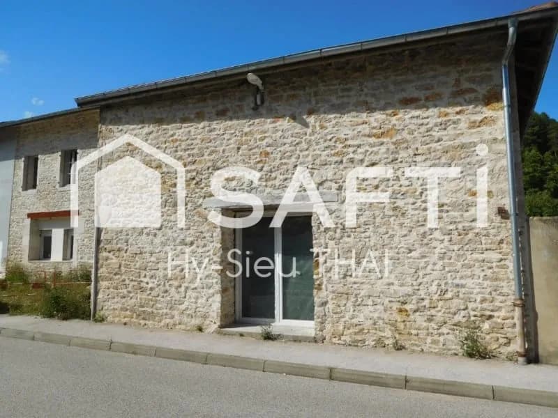 SPECIAL INVESTISSEURS avec 600 m2 à aménager, à THOIRETTE-COISIA (39240) - Photo 1