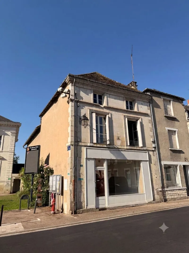 Maison Preuilly Sur Claise 8 pièce(s) 201.6 m² - Photo 1