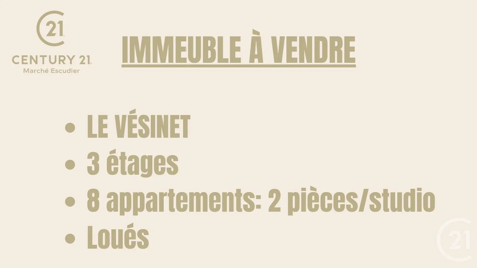 Immeuble de rapport 291 m² - Photo 1