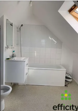 Immeuble de rapport 9 pièces 250 m² - Photo 1