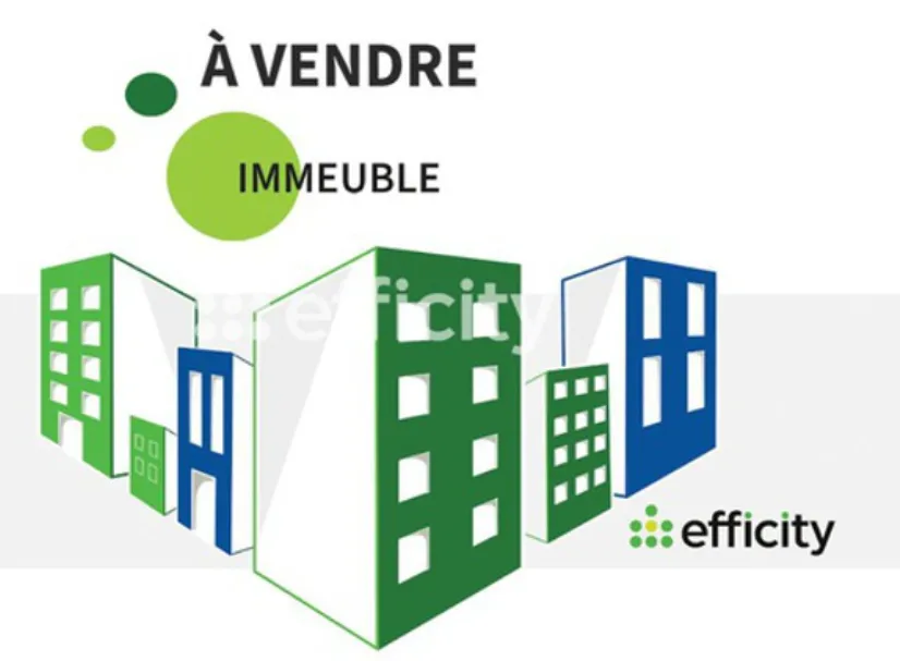 Immeuble 343 m² - Photo 1