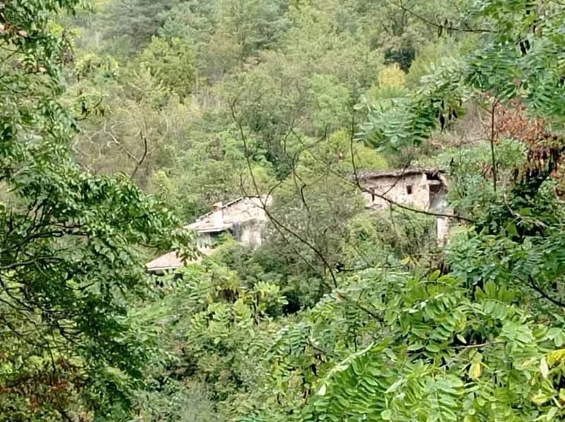 Sospel - ensemble immobilier - terrain 3000m - Photo 1