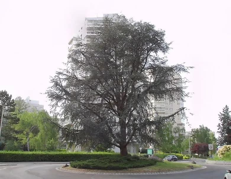 Ensemble immobilier - Photo 1