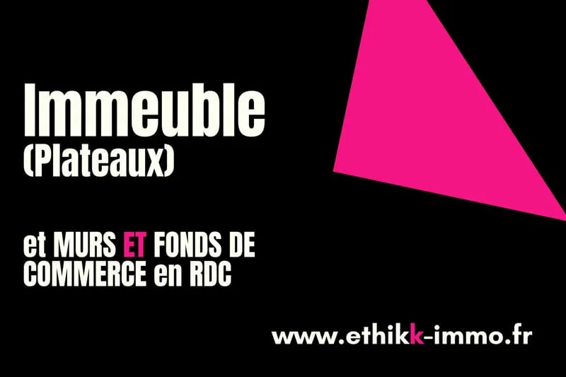 Immeuble de rapport, plateaux à rénover et commerce en Rdc - Photo 1