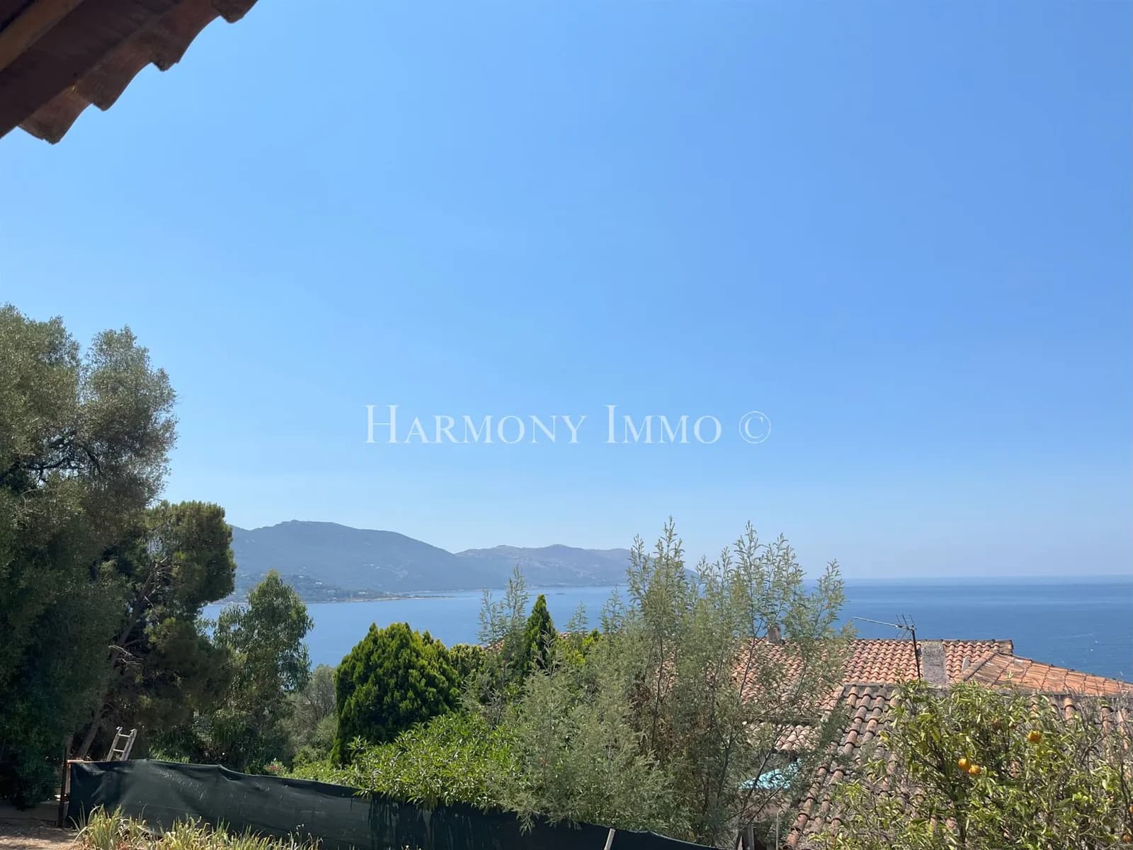 Tiuccia Ensemble immobilier vue mer 3 unités autonomes - Photo 1
