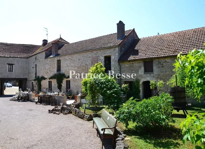 En Bourgogne, près de Beaune, un ensemble immobilier du 17e s. avec potentiel commercial et artisanal, sa piscine et ses jardins en bordure de rivière. - Photo 1