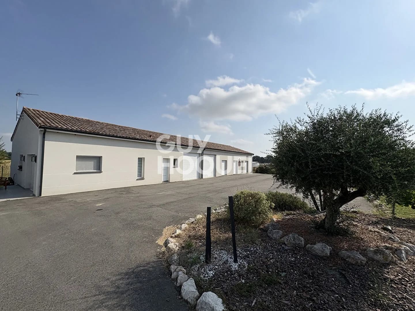 Immeuble TERTIAIRE Fronton - Photo 1