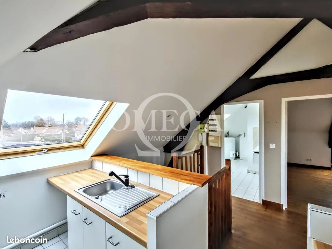 Immeuble de rapport 229 m² - Photo 1