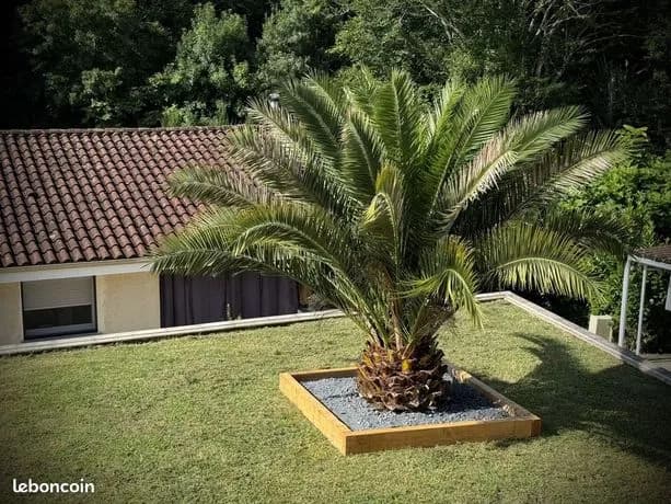 Immeuble 1292 m² - Photo 1