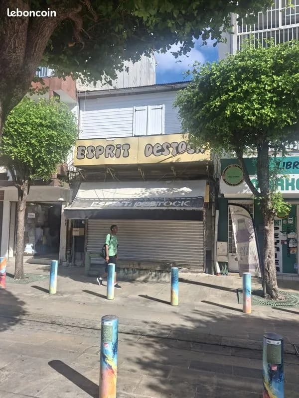 Immeuble de rapport 200 m² - Photo 1