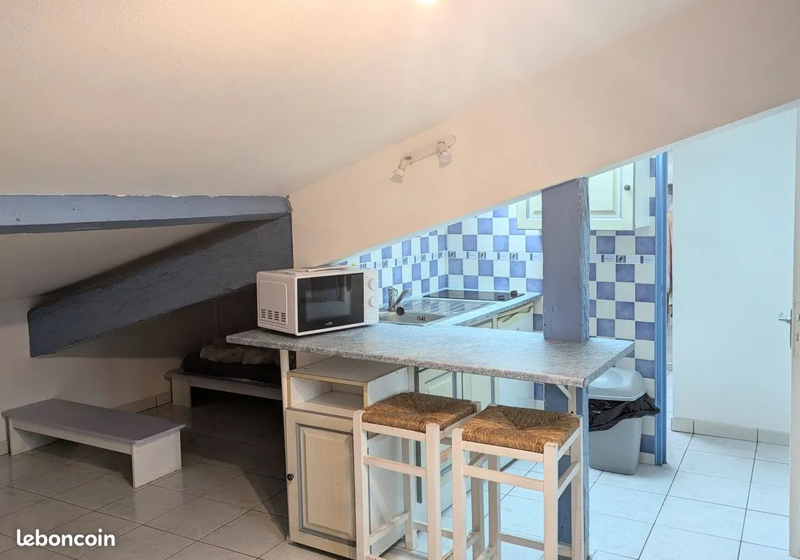 Lot de deux appartements - Photo 1