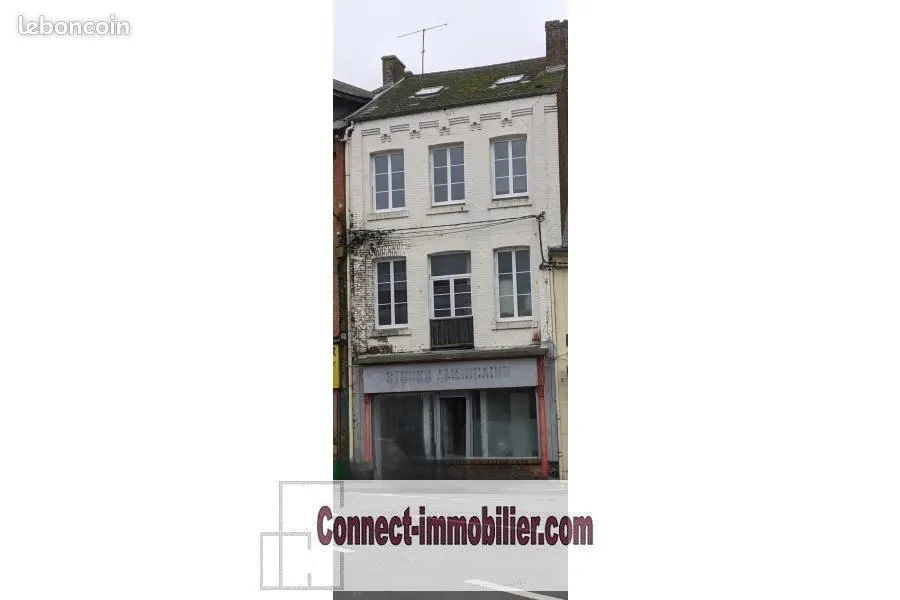 Immeuble de rapport 8 pièces 170 m² - Photo 1