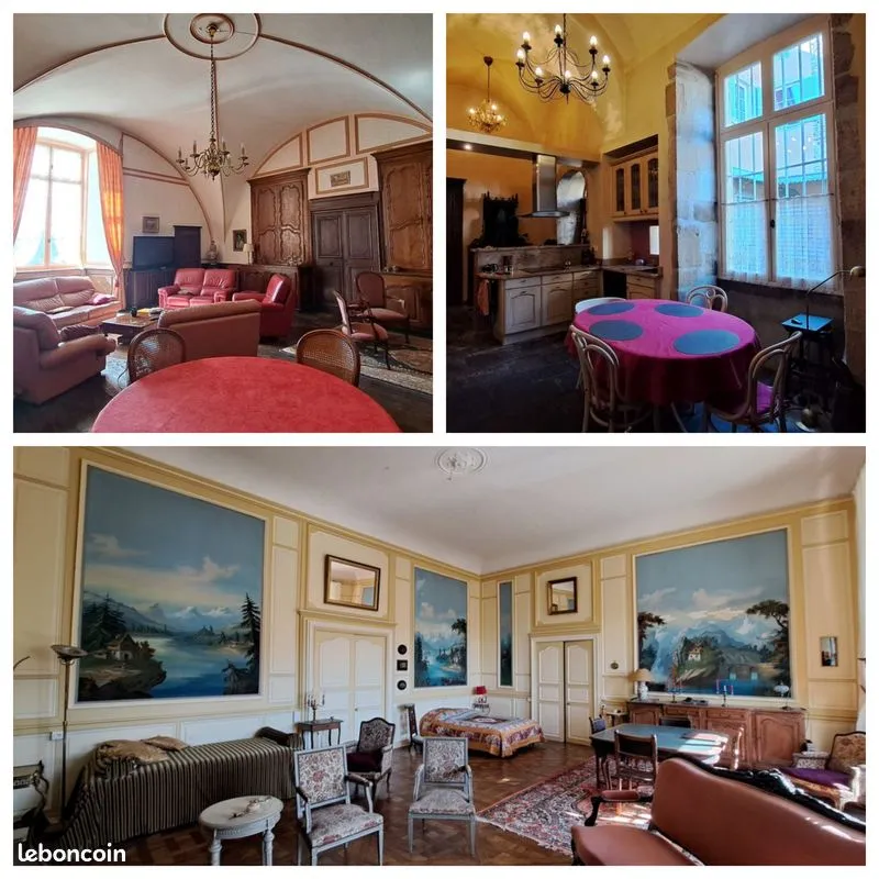 Ensemble immobilier : App. Privatif de charme + App. Locatifs 1000e+ Gîte +garage 140 m2 + jardin +piscine - Photo 1