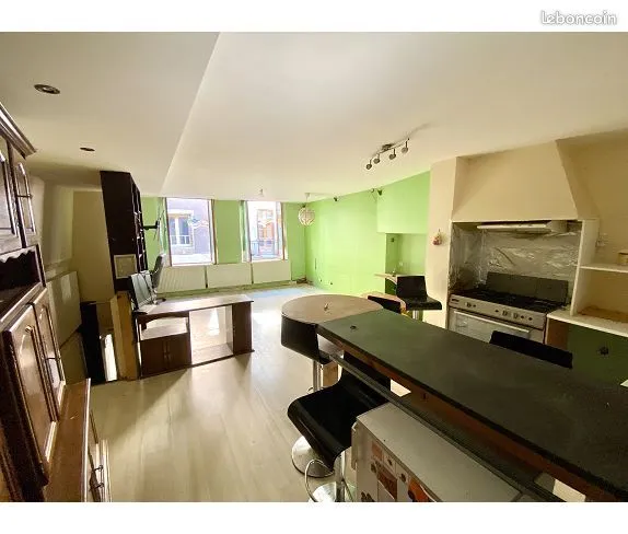Immeuble de rapport 8 pièces 236 m² - Photo 1