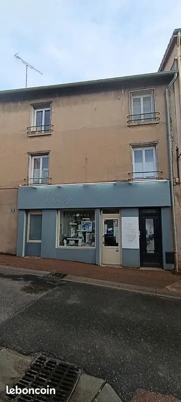 Immeuble 310m², Chazelles sur Lyon, - Photo 1