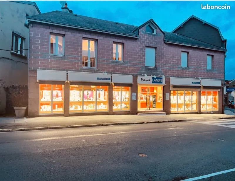 Immeuble de rapport 10 pièces 350 m² - Photo 1