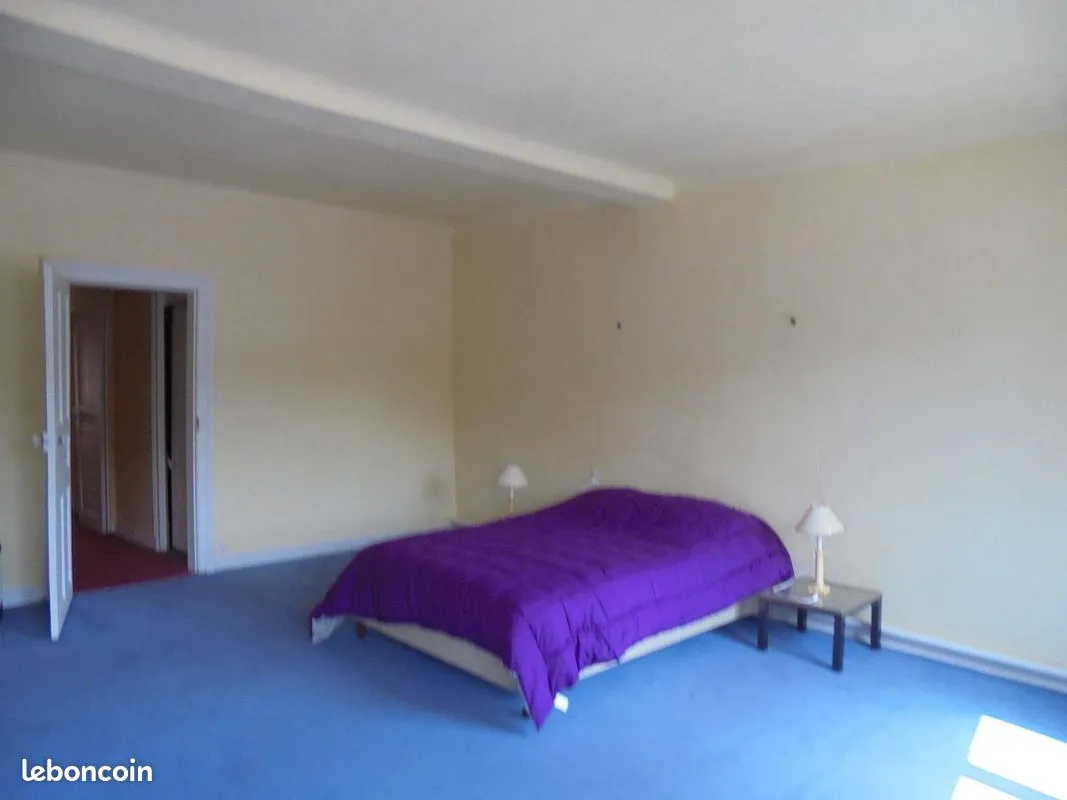 Immeuble de rapport 300 m² - Photo 1