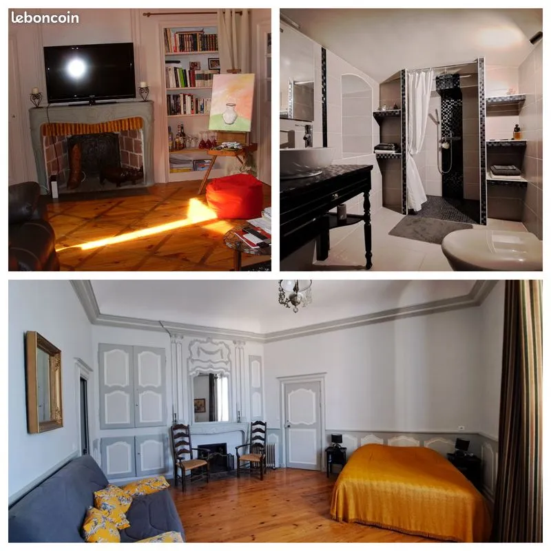Ensemble immobilier : App. Privatif de charme + App. Locatifs + Gîte +garage 140 m2 + jardin +piscine - Photo 1