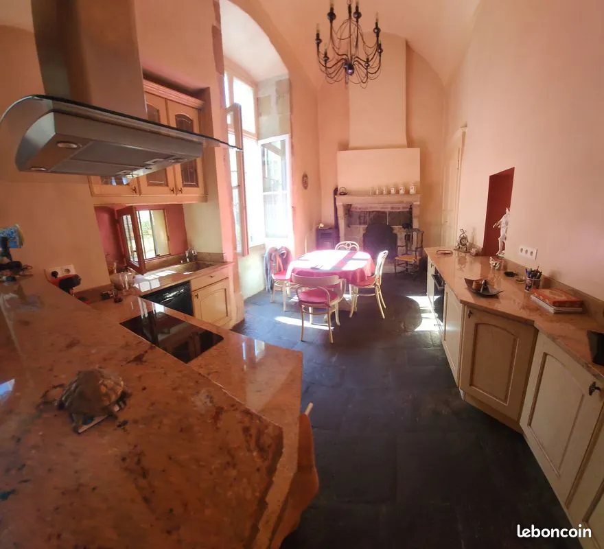 Ensemble immobilier : App. Privatif de charme + App. Locatifs + Gîte +garage 140 m2 + jardin +piscine - Photo 1