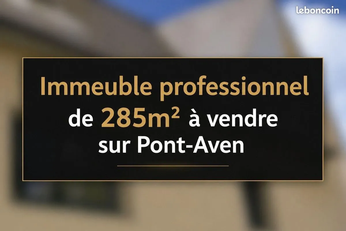 Immeuble 13 pièces 285 m² - Photo 1
