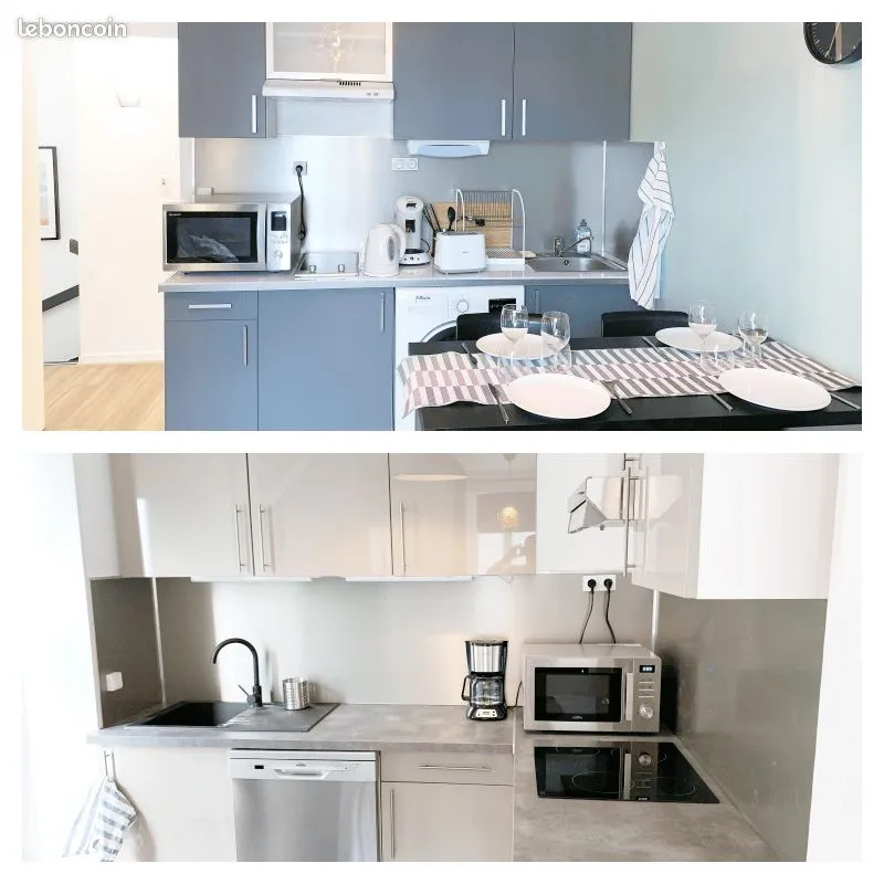 Ensemble immobilier de 2 maisons meublées, en exploitation - Photo 1