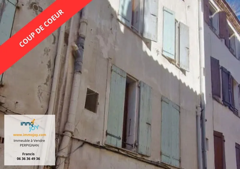 IMMEUBLE DE RAPPORT 4 LOTS - 66000 PERPIGNAN - Photo 1