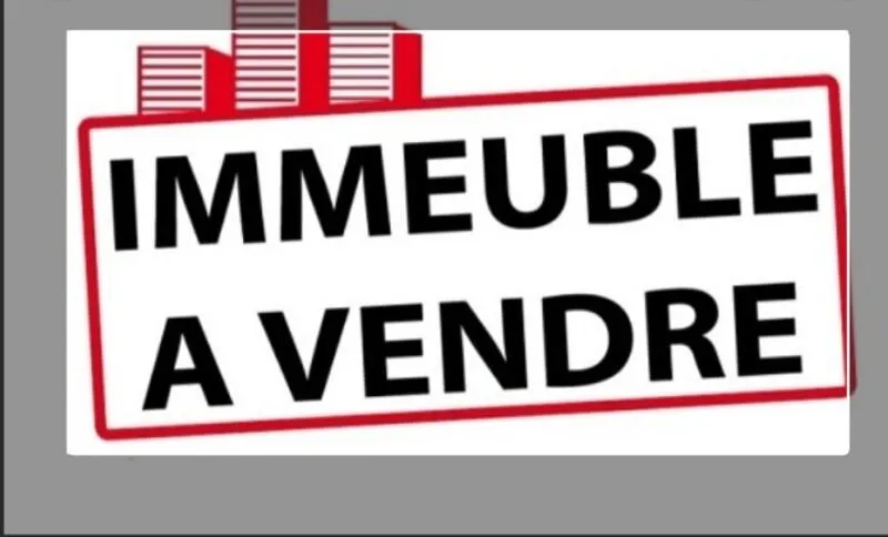 IMMEUBLE EN MONOPROPRIETE BELLE RENTABILITE - Photo 1