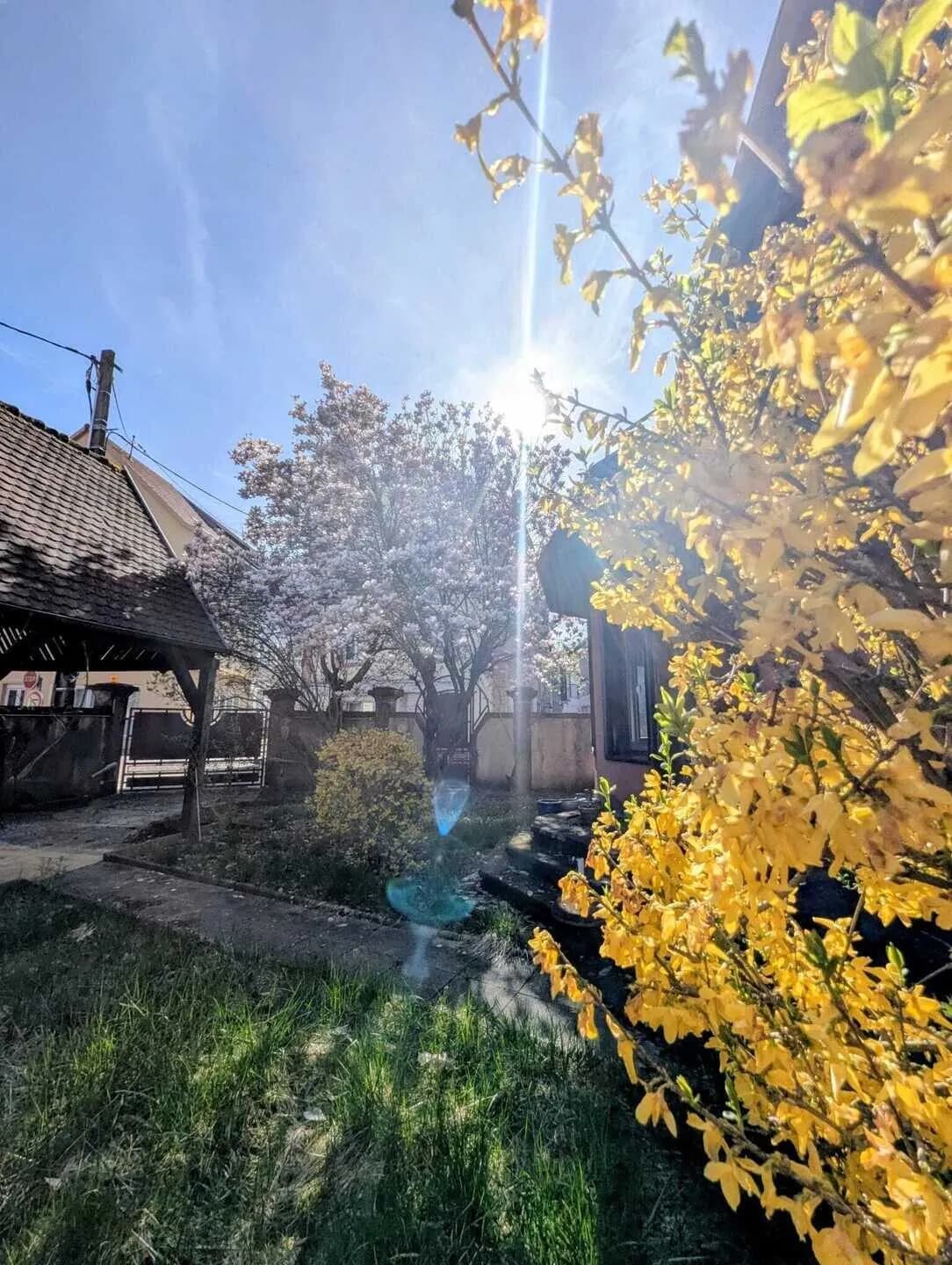 225 000 € | Immeuble avec revenu locatif existant - Photo 1
