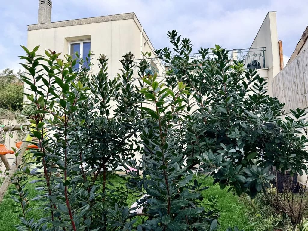 Immeuble 286 m² - Photo 1