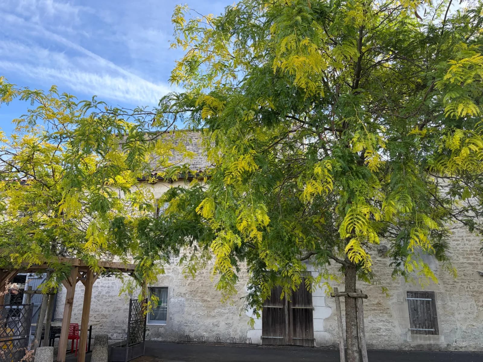 LUCON (85400) - EMPLACEMENT A FORTE VISIBILITE - IMMEUBLE DE RAPPORT AVEC RENTABILITE A FORT POTENTIEL - Photo 1