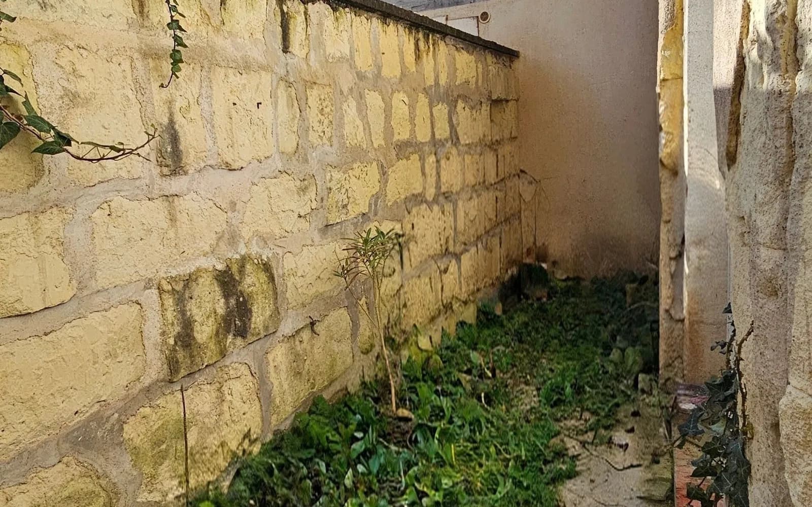 Immeuble de rapport 2 pièces 72 m² - Photo 1