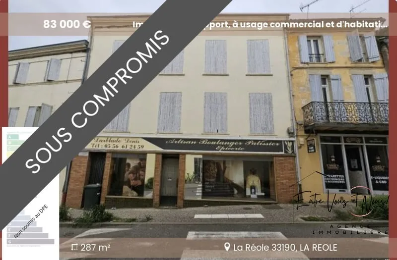 Immeuble de rapport 287 m² - Photo 1