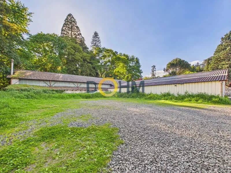 Ensemble immobilier professionnel avec terrain Proche Plac - Photo 1