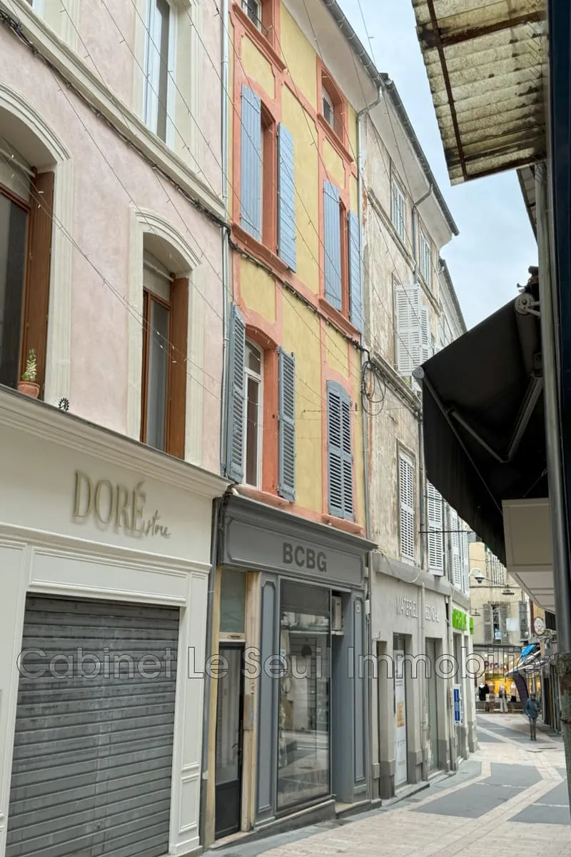 Immeuble de rapport 10 pièces 267 m² - Photo 1
