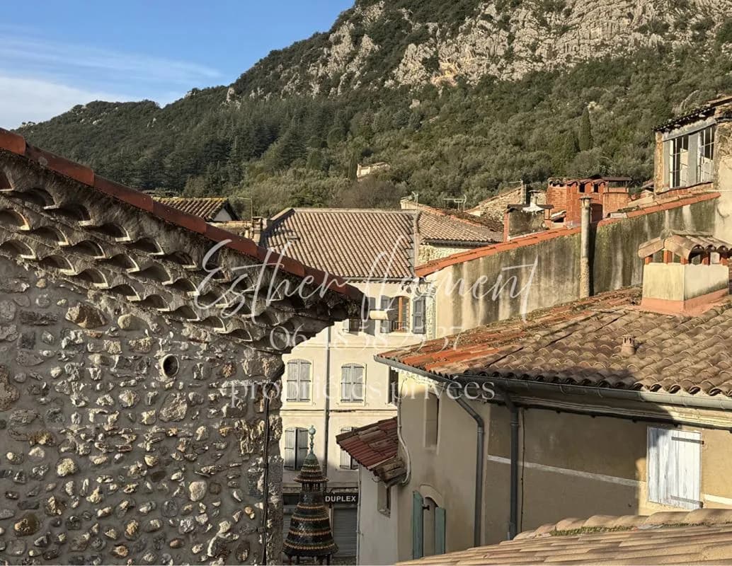 IMMEUBLE avec rendement locatif en place - Photo 1